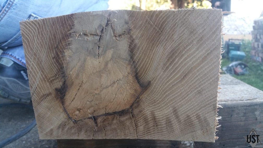 26366347-dc55-43b5-b461-caab3e780a7c