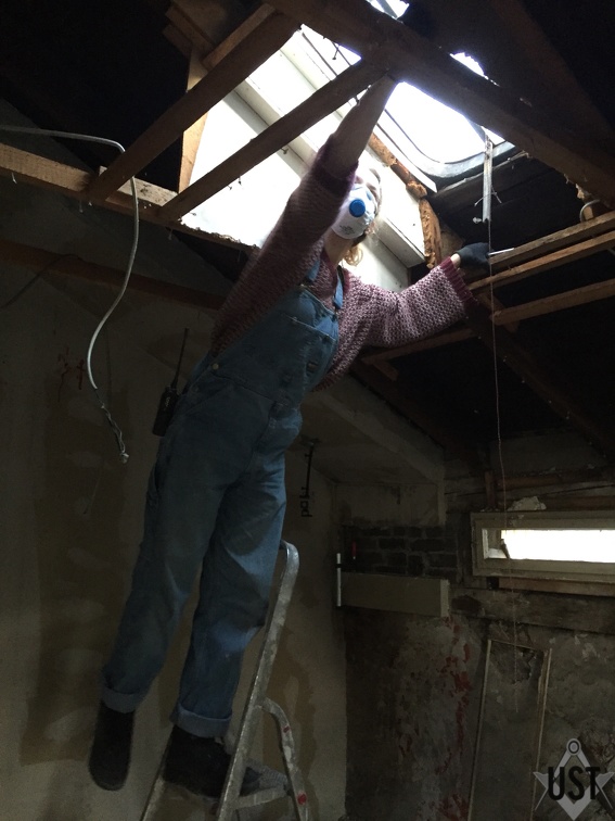 IMG 4425 (5764 Besuche) IMG 4425