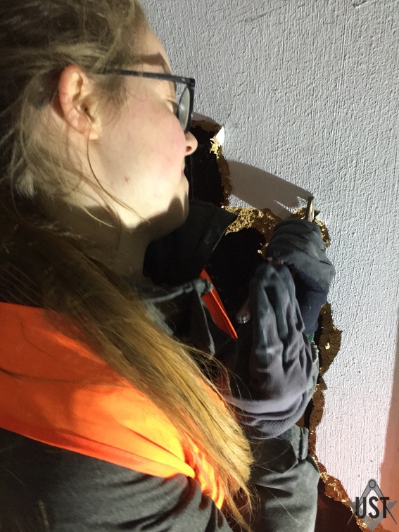 IMG 4435 (5995 Besuche) IMG 4435