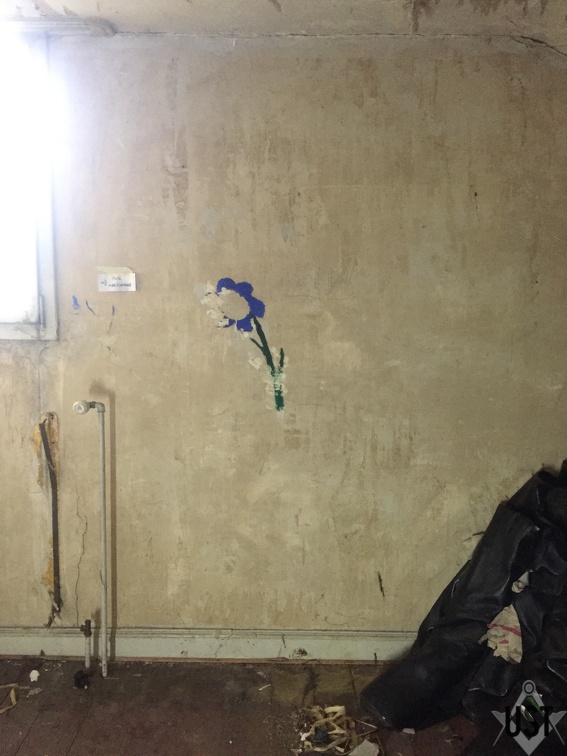 IMG 4342 (6718 Besuche) IMG 4342