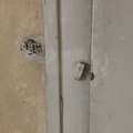 IMG_4339.JPG