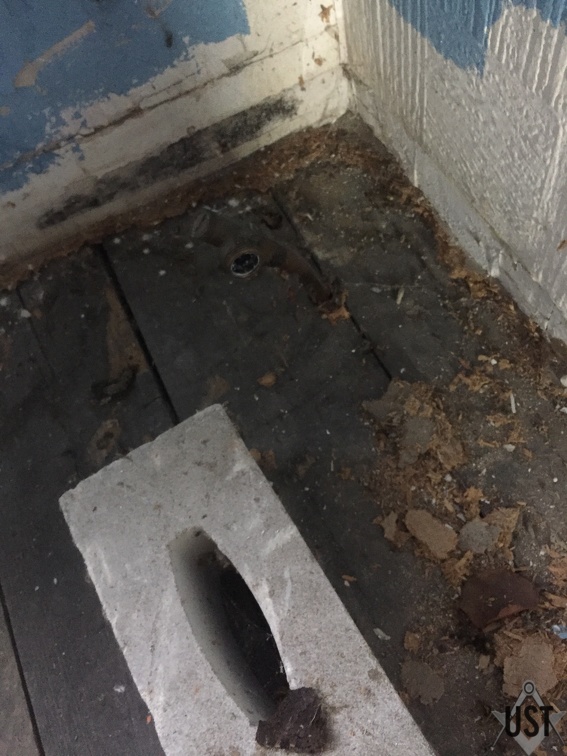 IMG 4305 (6587 Besuche) IMG 4305