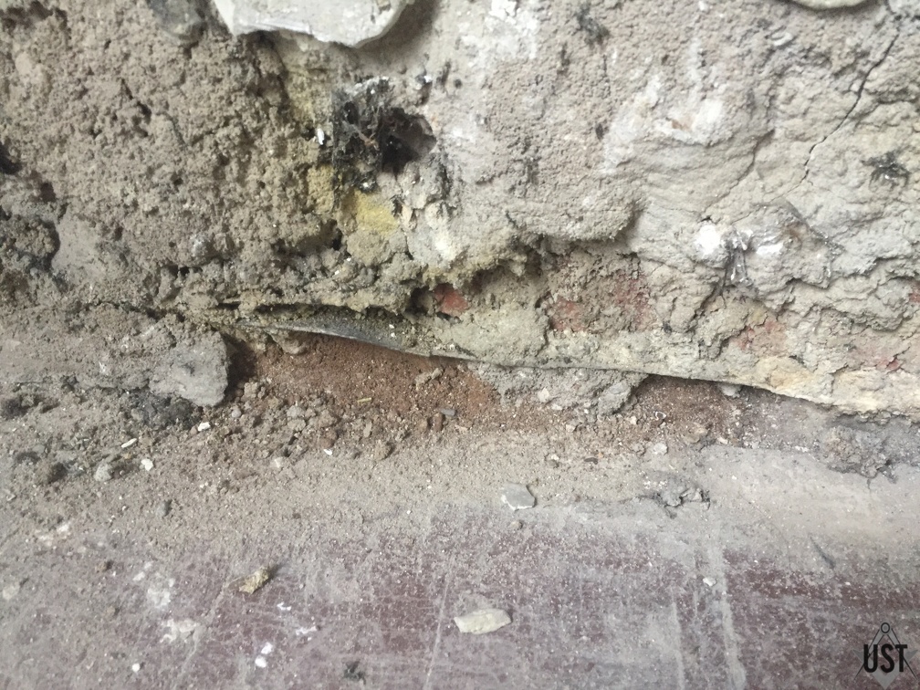 IMG 4286 (6527 Besuche) IMG 4286