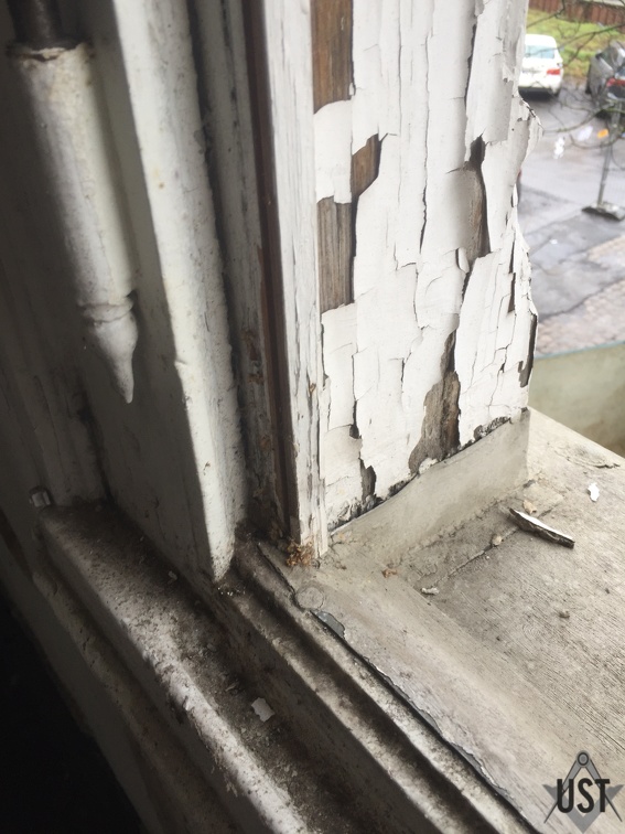 IMG 4276 (6114 Besuche) IMG 4276