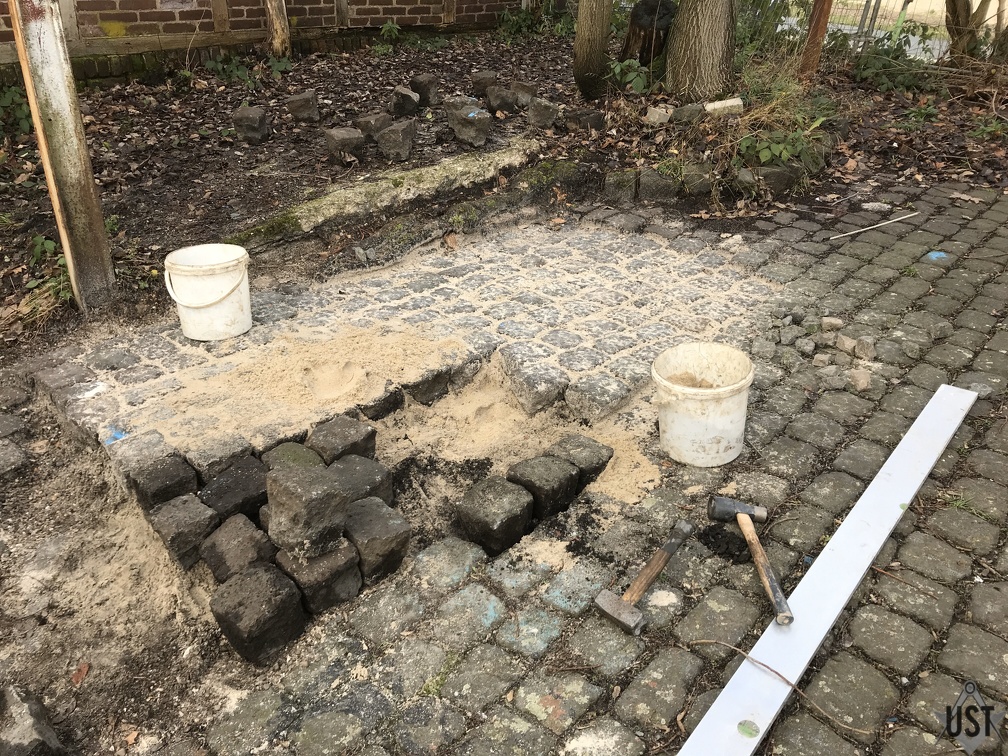 IMG 1560 (6456 Besuche) IMG 1560