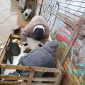 IMG_20200202_132734423.jpg