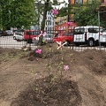 camphoto_1804928587.jpg
