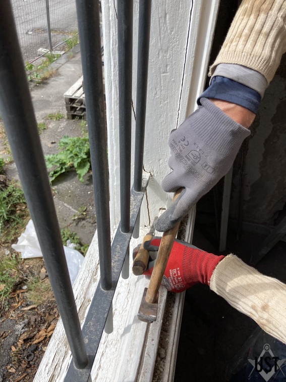 IMG 7437 (5547 Besuche) IMG 7437