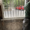 IMG_7443.JPG
