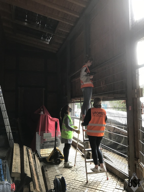 IMG 2162 (5695 Besuche) IMG 2162