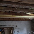 20200627_150040.jpg