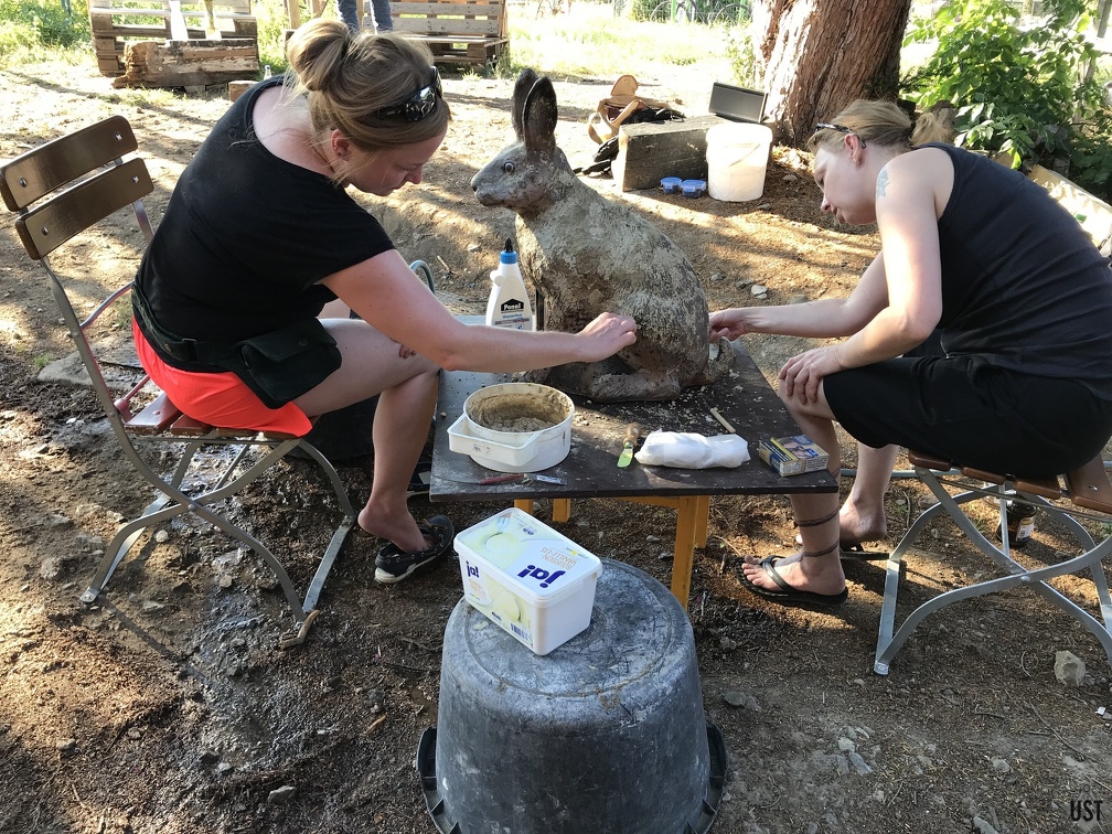 IMG 2733 (5368 Besuche) Wappenhase wird weiter restauriert IMG 2733