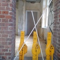 IMG_20200919_094932548.jpg
