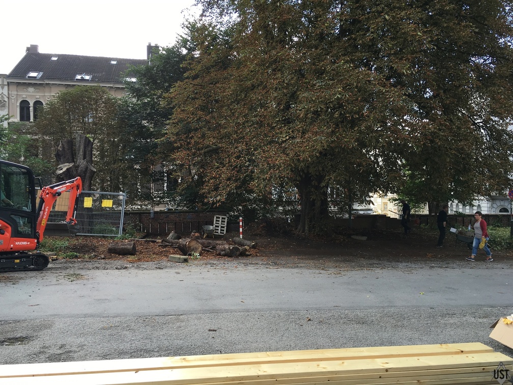 IMG 2890 (6413 Besuche) IMG 2890