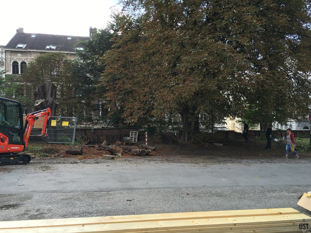 IMG 2891 (6458 Besuche) IMG 2891