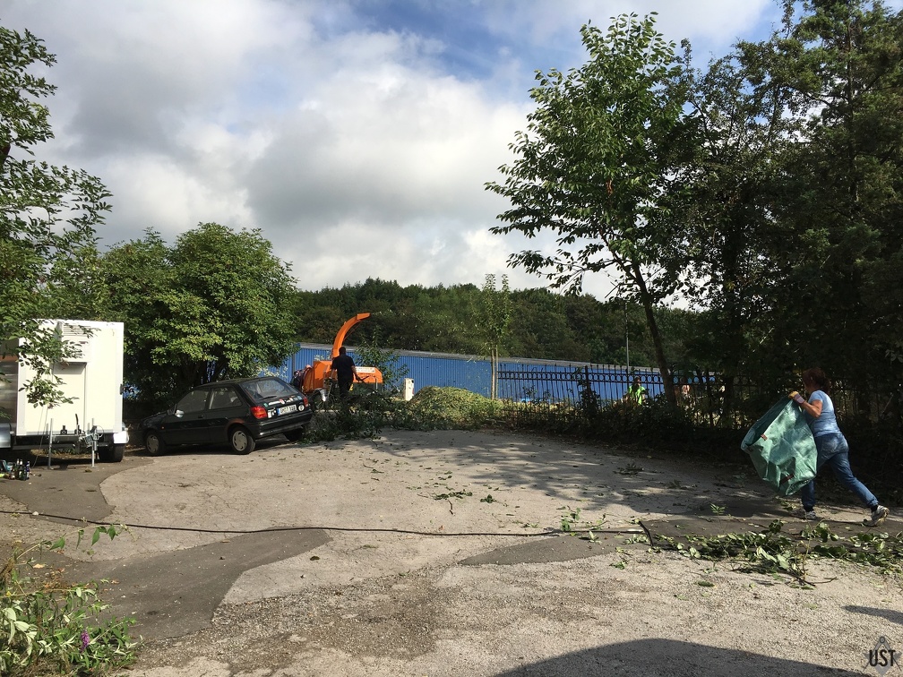 IMG 2892 (6479 Besuche) IMG 2892