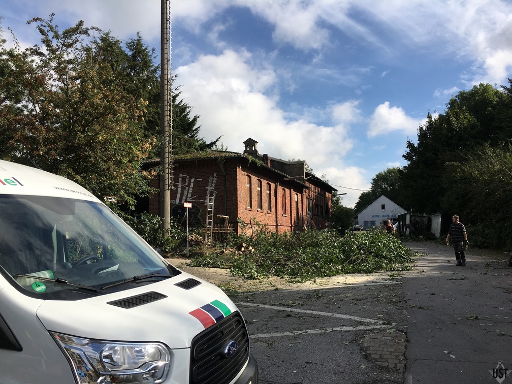 IMG 2893 (6281 Besuche) IMG 2893