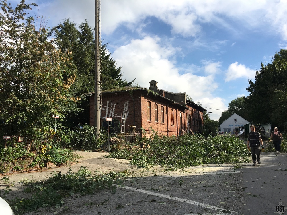 IMG 2894 (6301 Besuche) IMG 2894