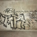 IMG_2923.jpeg
