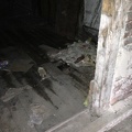 IMG_0295.jpeg