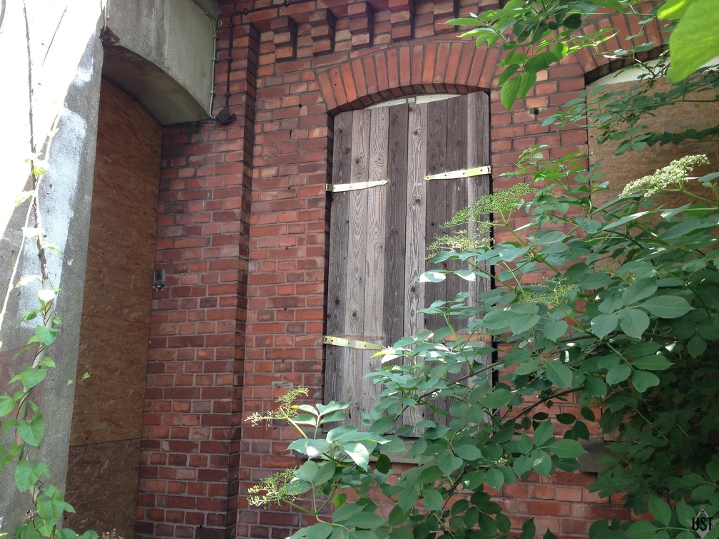 IMG 0473 (6344 Besuche) IMG 0473