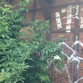 IMG_0478.jpeg