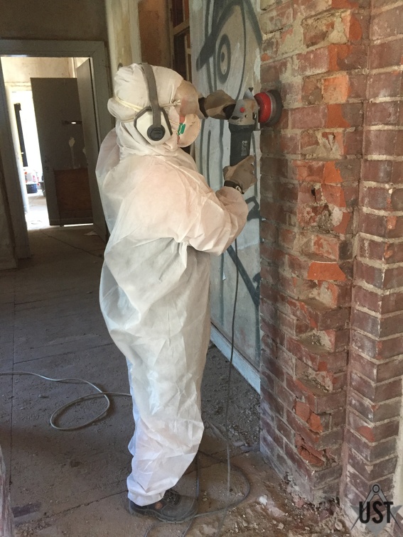 IMG 7333 (9958 Besuche) IMG 7333