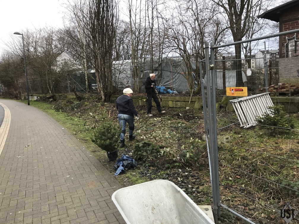 IMG 3967 (6395 Besuche) Verbuschter Grünstreifen hinter der GPA wurde mit schwerem Gerät entbuscht IMG 3967