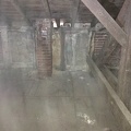 IMG_3473.jpeg