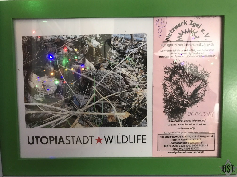 IMG 4049 (6101 Besuche) Unser Engagement wurde gewürdigt! IMG 4049