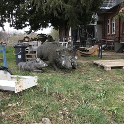 Workout GPA 2021 KW14