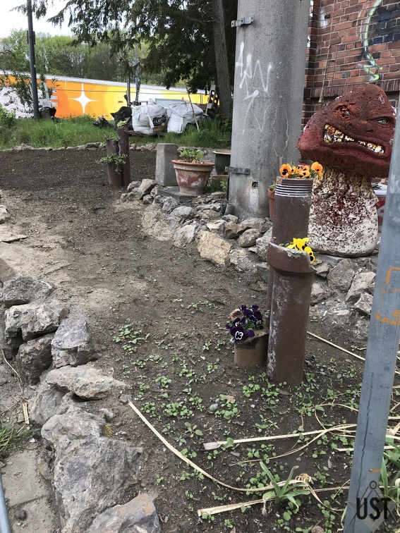 IMG 4442 (5951 Besuche) Zweiter Röhrenkomplex ist eingepflanzt, Rest Fläche eingesät mit Bienenweide IMG 4442