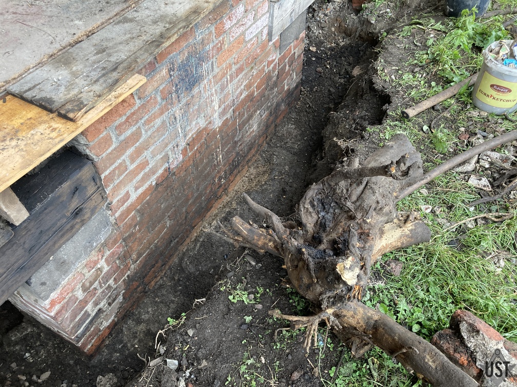 IMG 4761 (5946 Besuche) Baum hat verloren IMG 4761