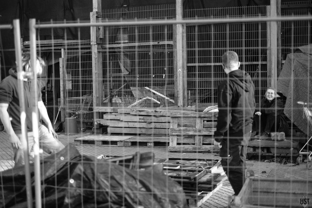 DSCF1923 (5045 Besuche) DSCF1923