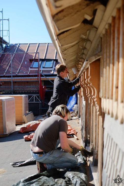 IMG 7033 (5274 Besuche) IMG 7033