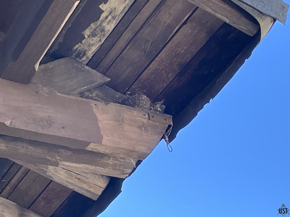 IMG 1091 (4466 Besuche) Die GPA-Zange ist bewohnt IMG 1091