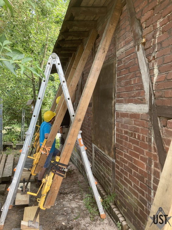 IMG 6677 (6457 Besuche) IMG 6677