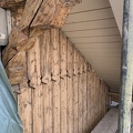 IMG_8220.jpeg