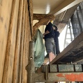 IMG_8233.jpeg