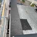IMG_2509.jpeg