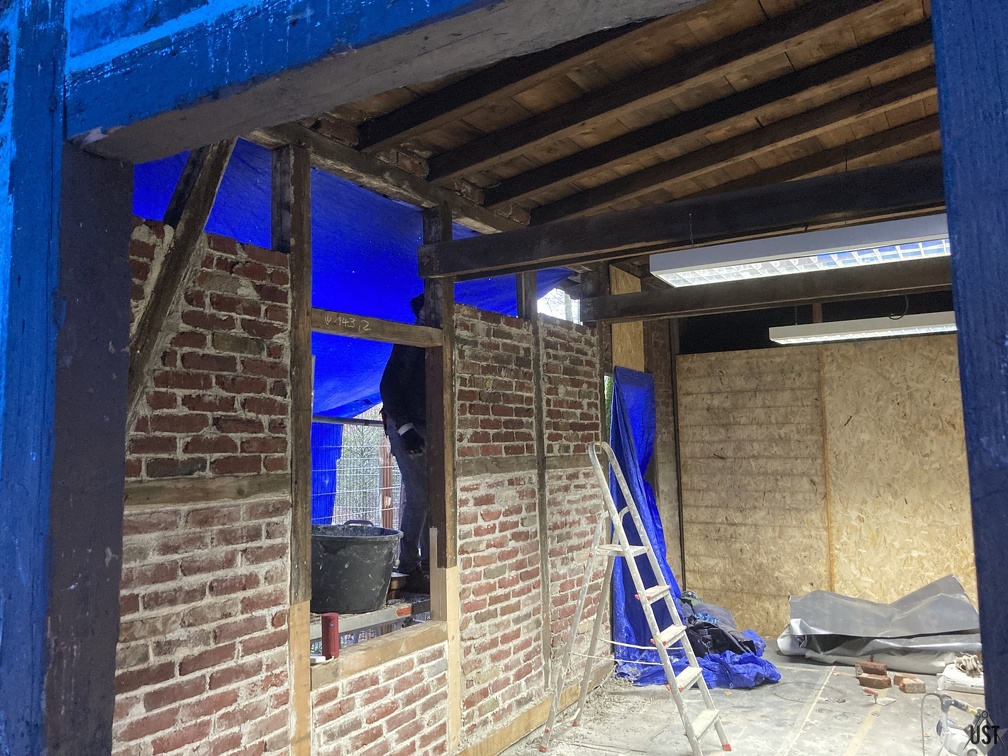 IMG 7775 (5917 Besuche) Nochmal Holzwerkstatt-Wandaufmauerung IMG 7775