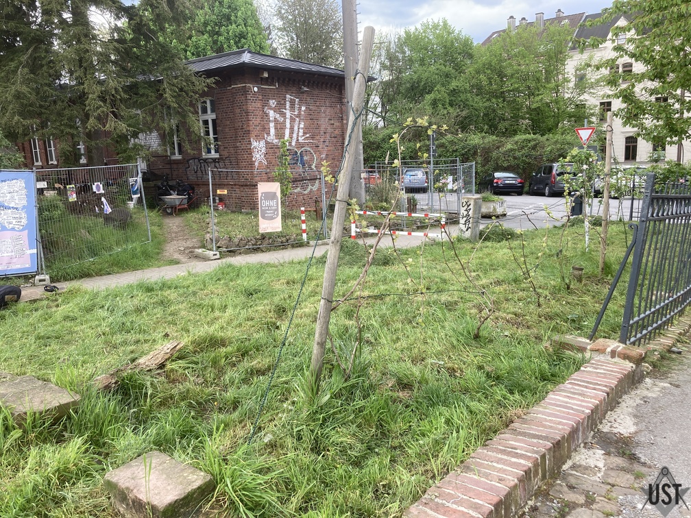 IMG 8226 (3857 Besuche) Grünflächen gemäht IMG 8226