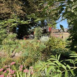 Utopiastadtgarten 24.09.2023