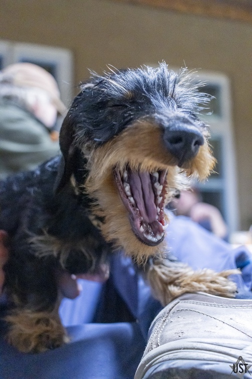 20240115-164148 (4327 Besuche) 20240115-164148