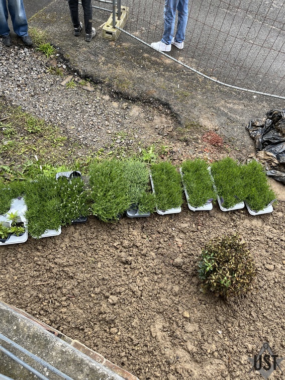 IMG 5558 (3964 Besuche) IMG 5558