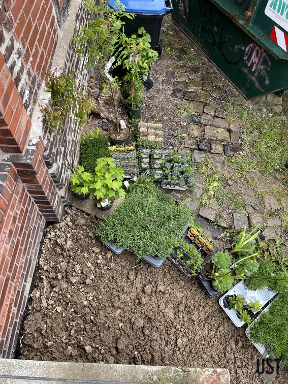 IMG 5559 (4061 Besuche) IMG 5559