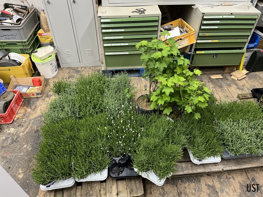 IMG 5560 (3989 Besuche) IMG 5560