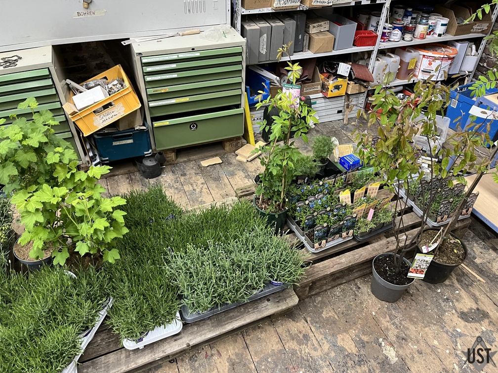 IMG 5561 (4007 Besuche) IMG 5561