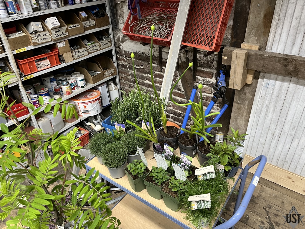 IMG 5562 (4039 Besuche) IMG 5562