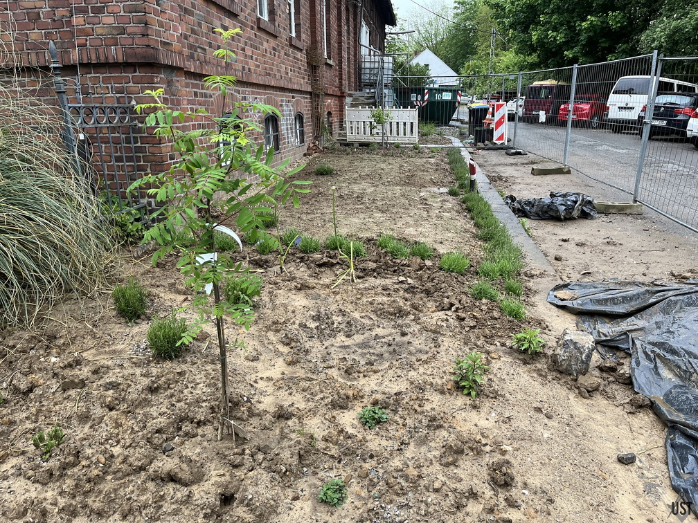 IMG 5619 (3937 Besuche) IMG 5619